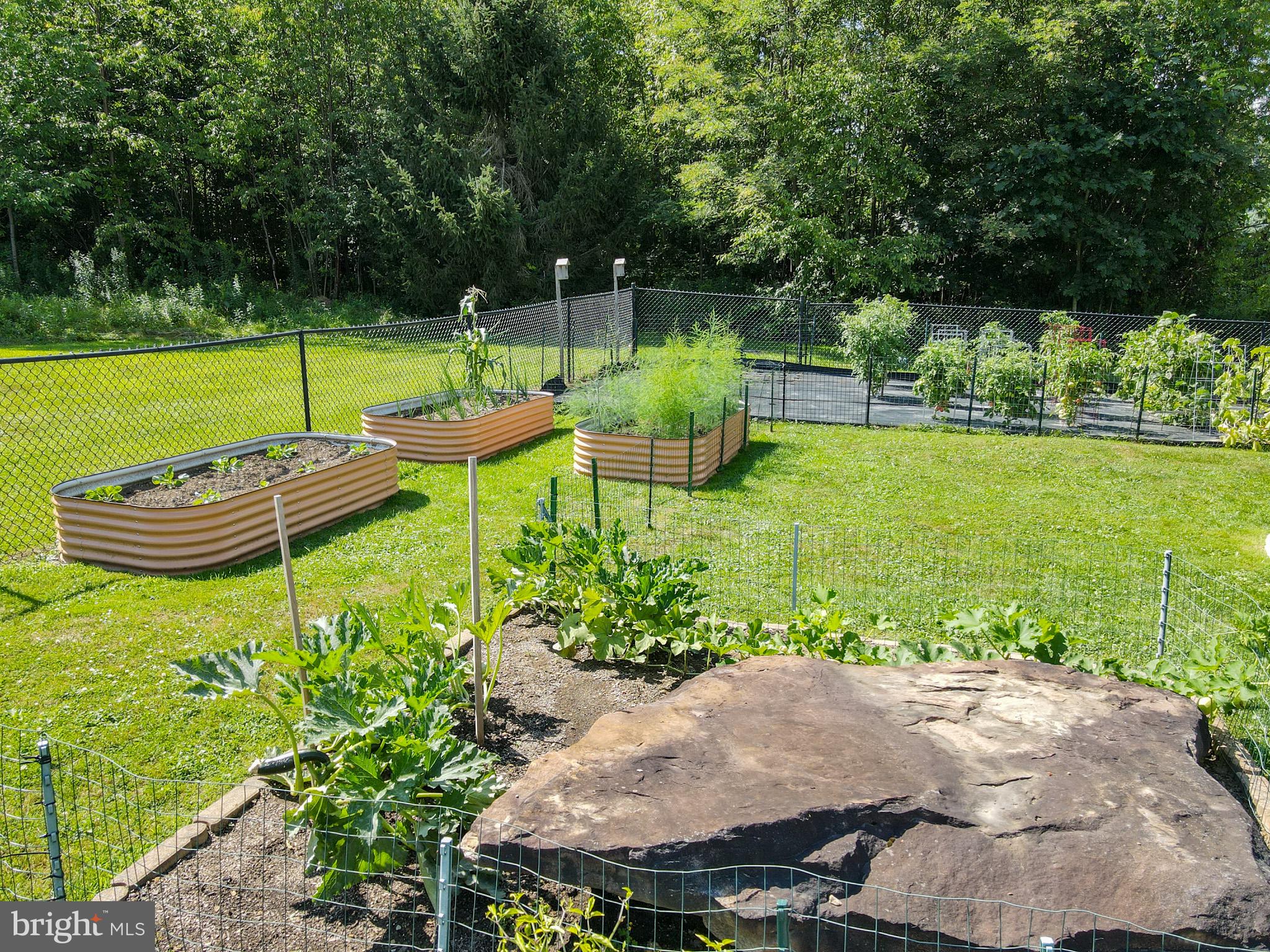 265 Fearer Road Friendsville, MD 21531 - Photo 63 of 75 Vibrant garden oasis in bloom.