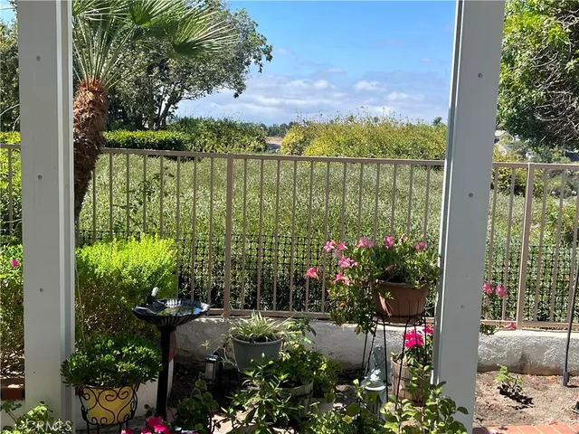 a view of a potted flower in a yard with swimming pool