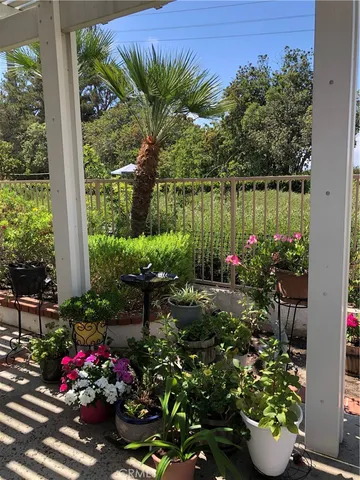 a bunch of flowers are in a garden