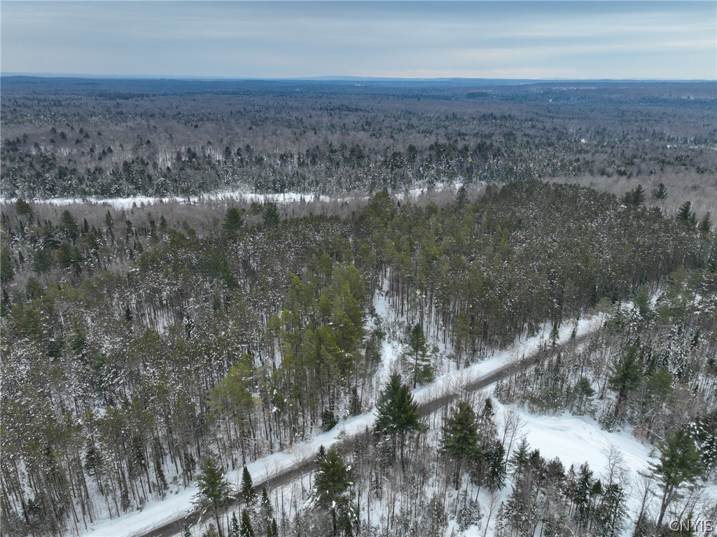 Lot#3 Roberts Road Remsen, NY 13438 - Photo 7 of 28