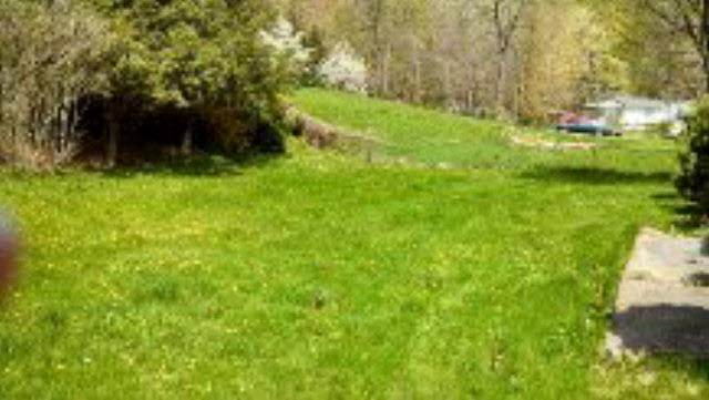 8905 Briery Branch Road Dayton, VA 22821 - Photo 3 of 7 Gallery Image 3