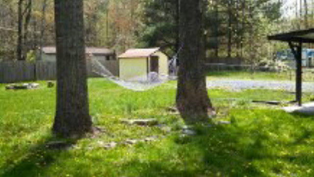 8905 Briery Branch Road Dayton, VA 22821 - Photo 7 of 7 Gallery Image 7