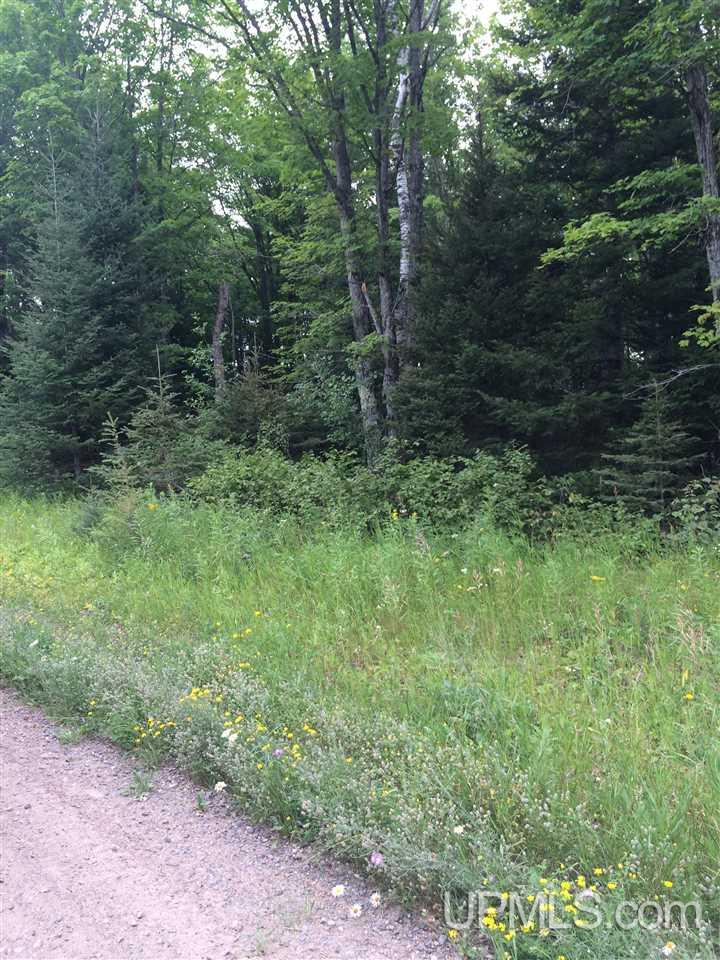 Tbd Angeli Road, Unit 18 Iron River, MI 49935 - Photo 2 of 7