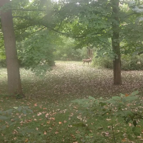 $299,000 | 65 Lincolnshire Drive, Lincolnshire, IL 60069