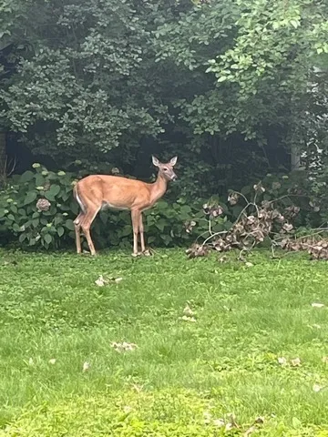 $299,000 | 65 Lincolnshire Drive, Lincolnshire, IL 60069