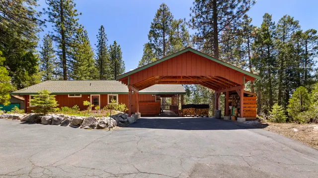 a view of a lush green forest with a mountain
