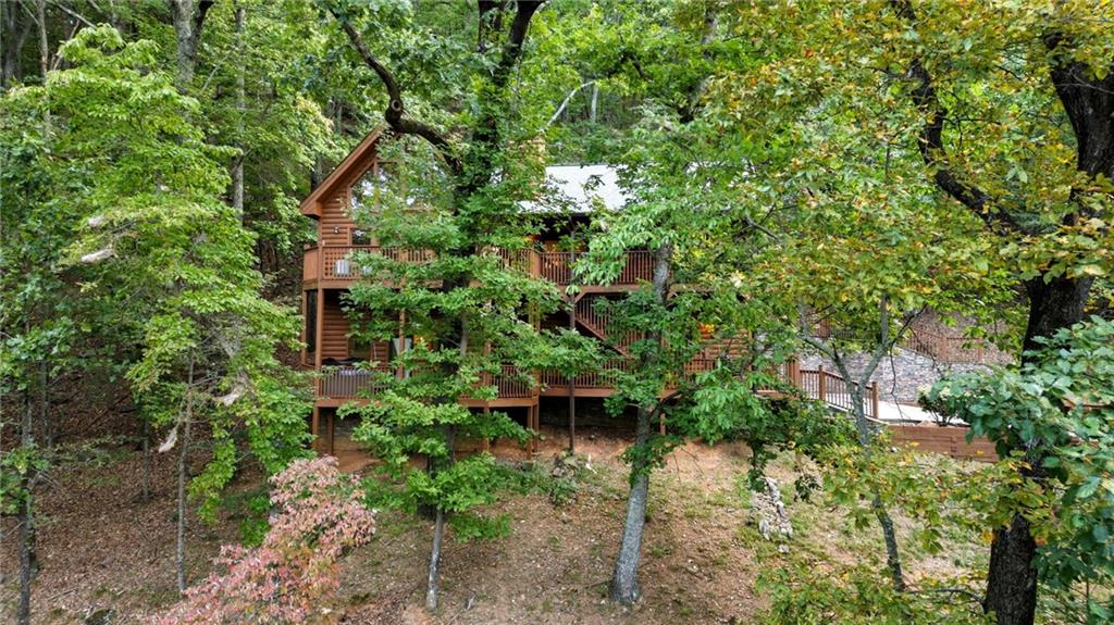 469 Moss Patch Trail Jasper, GA 30143 - Photo 36 of 49 a plant view in yard