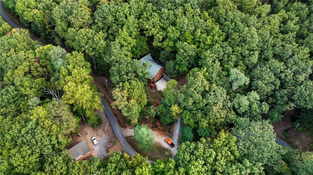 469 Moss Patch Trail Jasper, GA 30143 - Photo 43 of 49 an aerial view of residential house with outdoor space and trees all around