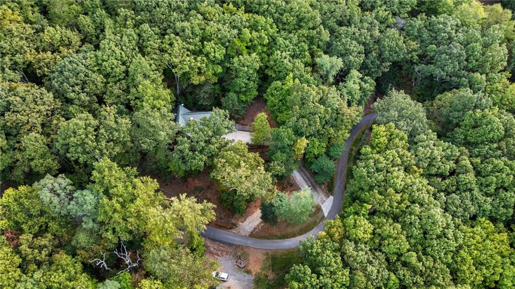 469 Moss Patch Trail Jasper, GA 30143 - Photo 44 of 49 a view of a garden with plants