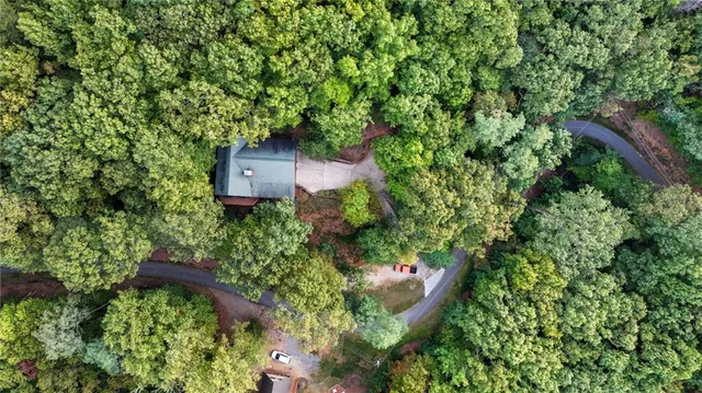 an aerial view of houses covered in trees