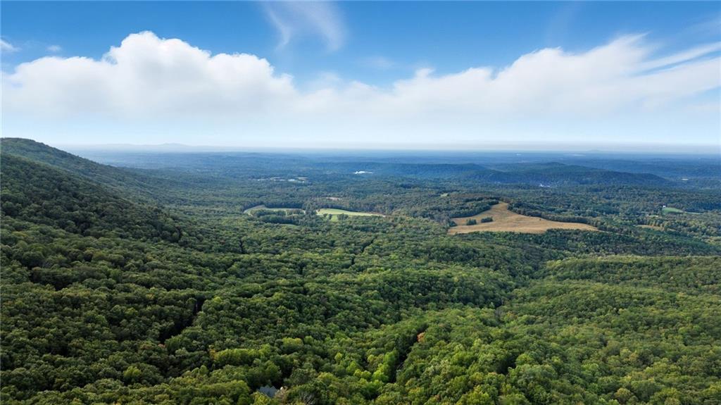 469 Moss Patch Trail Jasper, GA 30143 - Photo 46 of 49 an aerial view of houses covered in trees