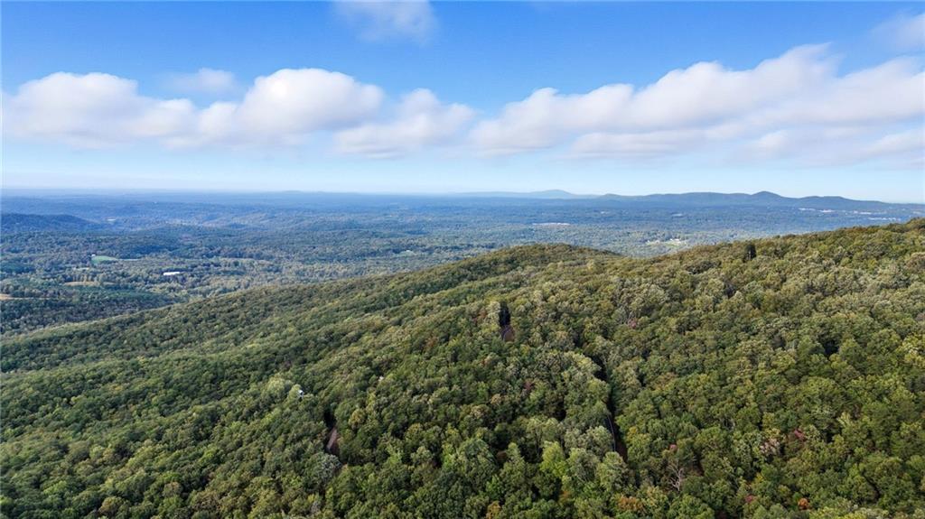 469 Moss Patch Trail Jasper, GA 30143 - Photo 5 of 49 an aerial view of residential houses with outdoor space and trees