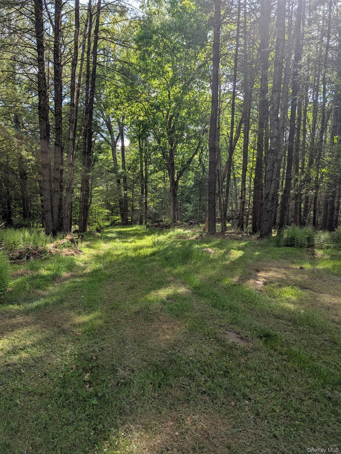 807 Beaver Brook Road Narrowsburg, NY 12764 - Photo 25 of 26