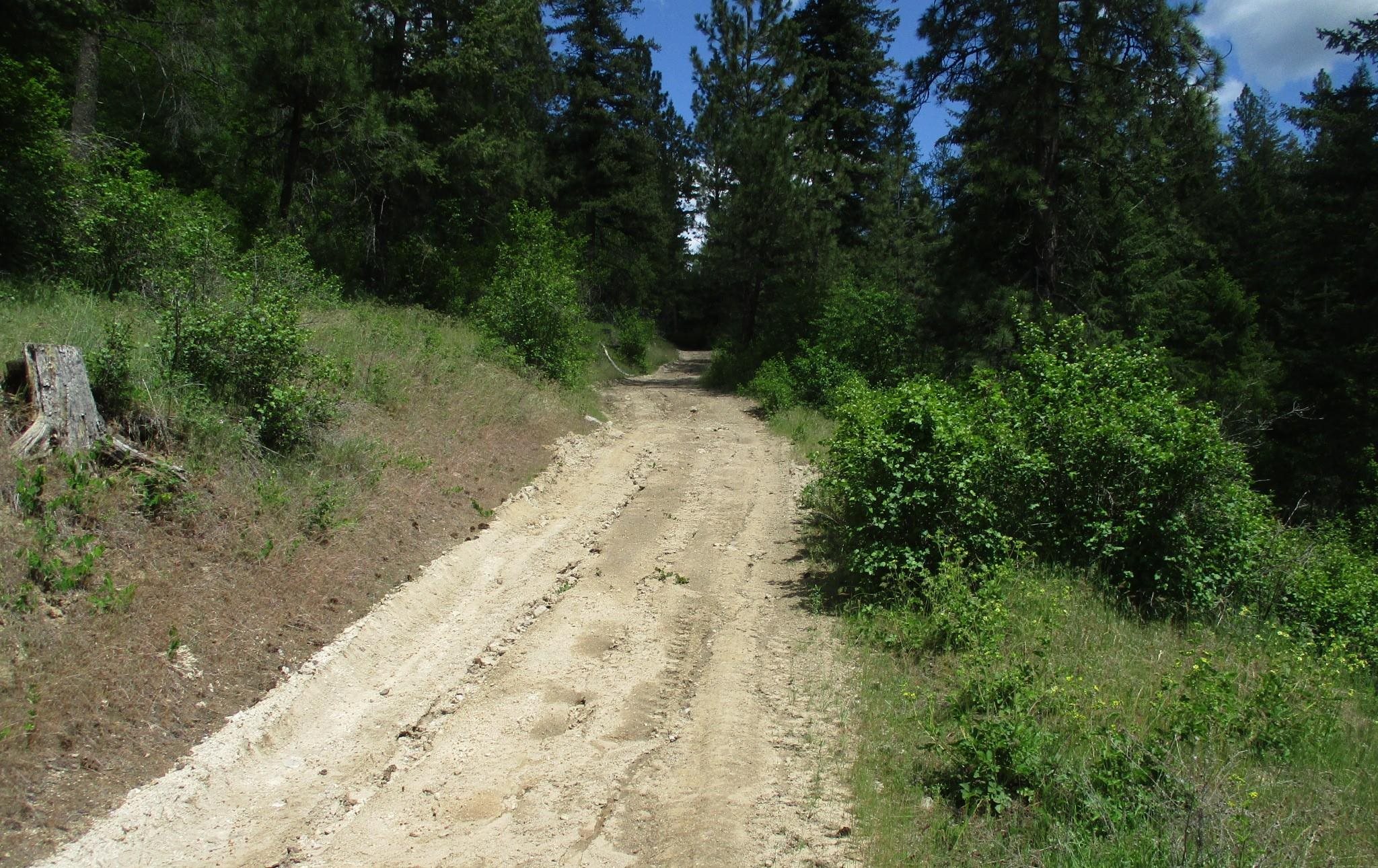 18-xxx East Miner Road Mead, WA 99021 - Photo 39 of 40