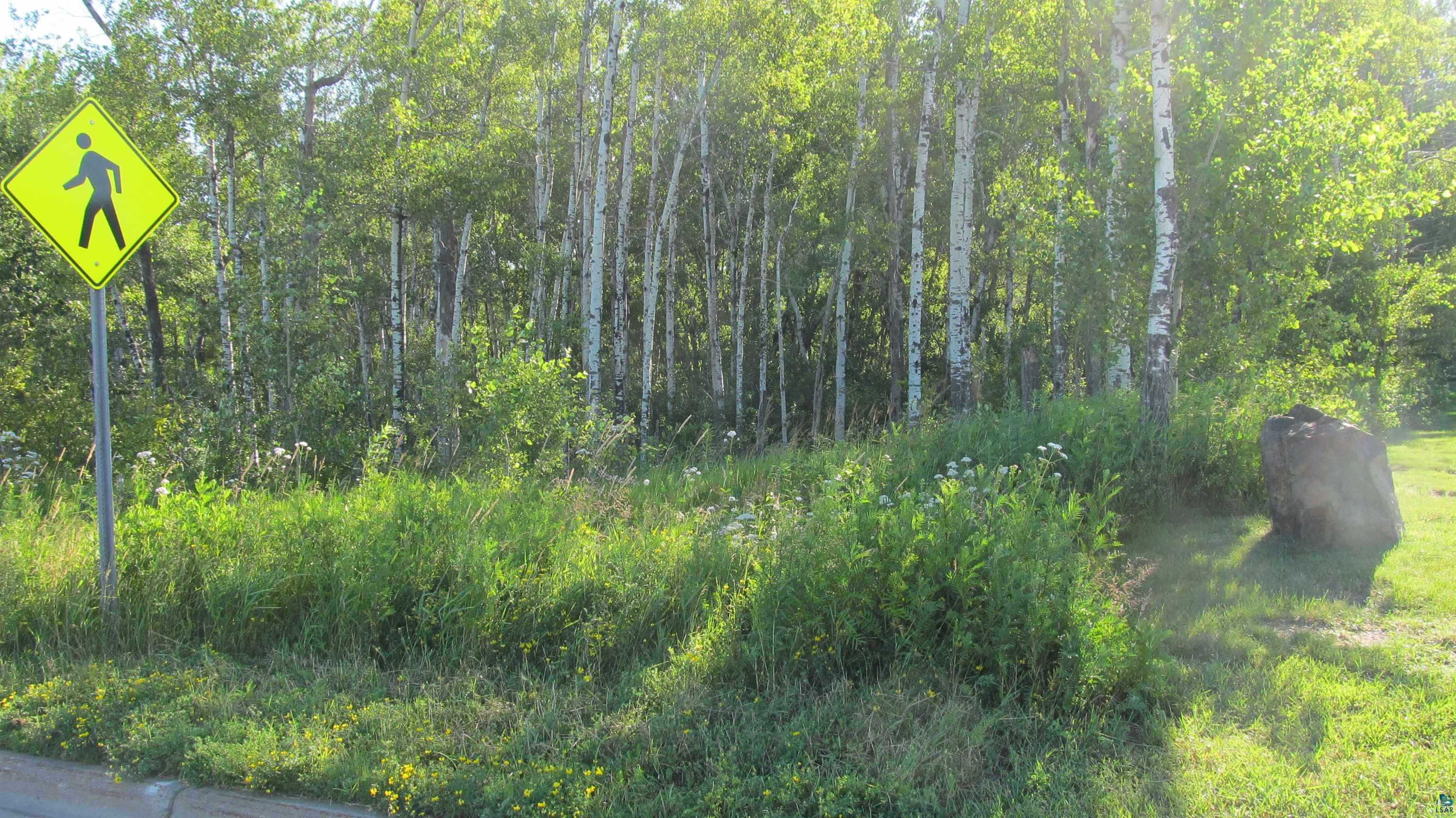 Xxxx Maple Grove Road Duluth, MN 55811 - Photo 4 of 8