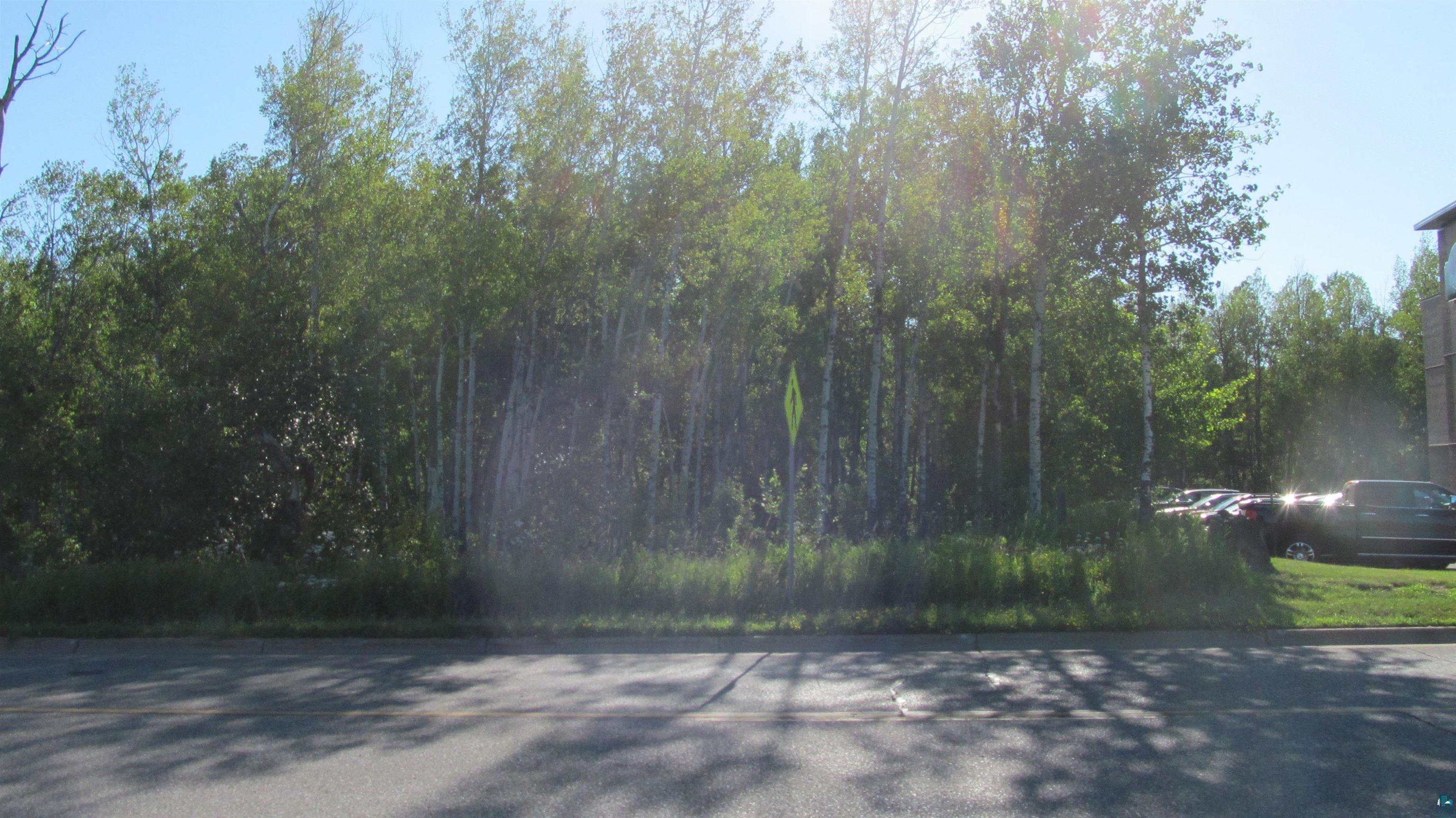 Xxxx Maple Grove Road Duluth, MN 55811 - Photo 8 of 8