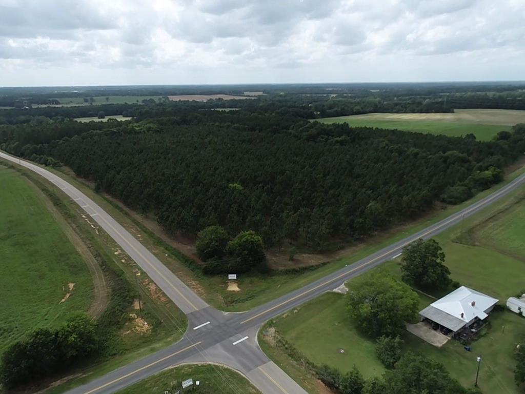 75/ Nuclear Plant Road Columbia, AL 36319 - Photo 33 of 34