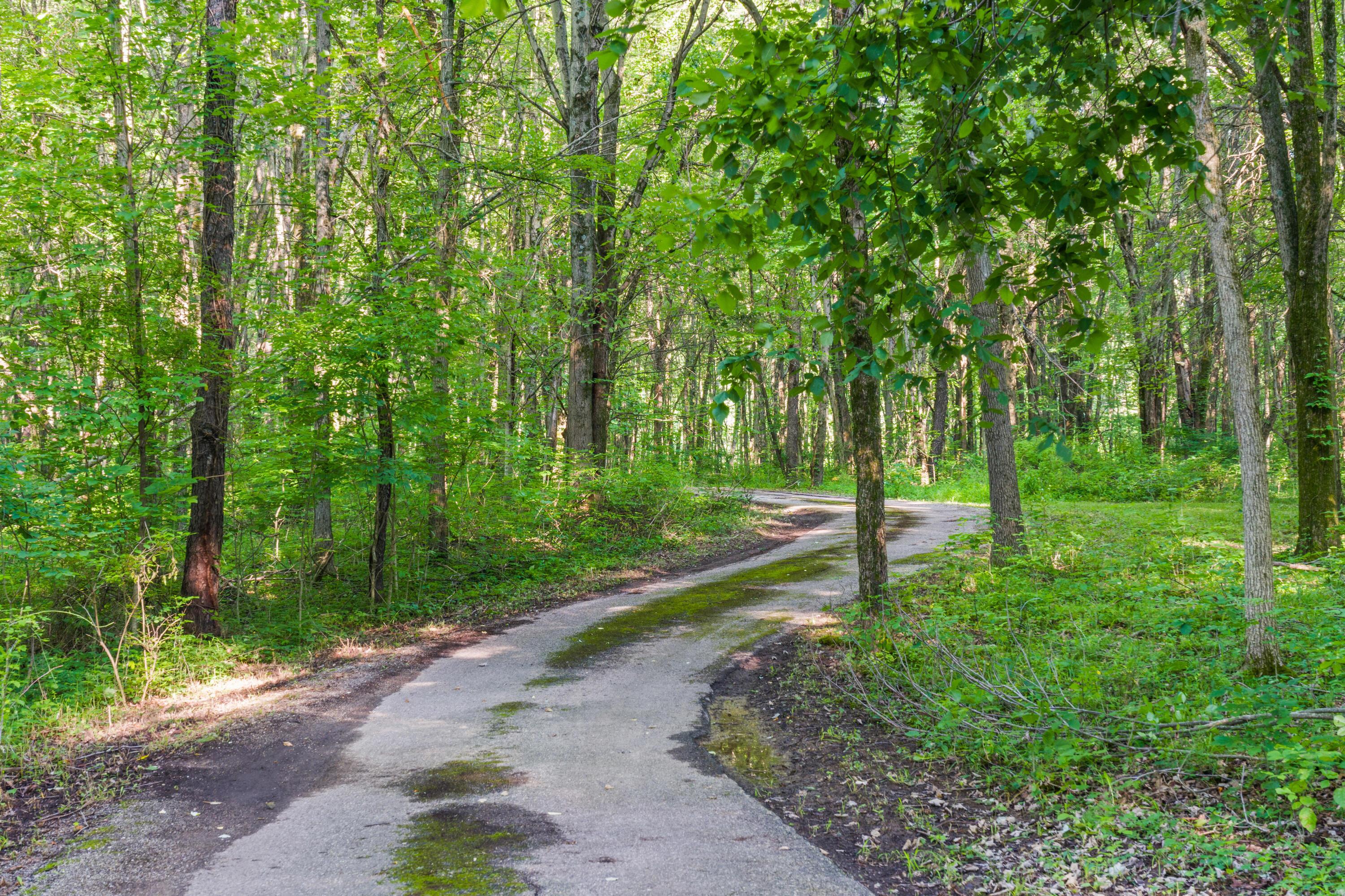 5455 Plantation Road Sunbury, OH 43074 - Photo 6 of 176 Driveway