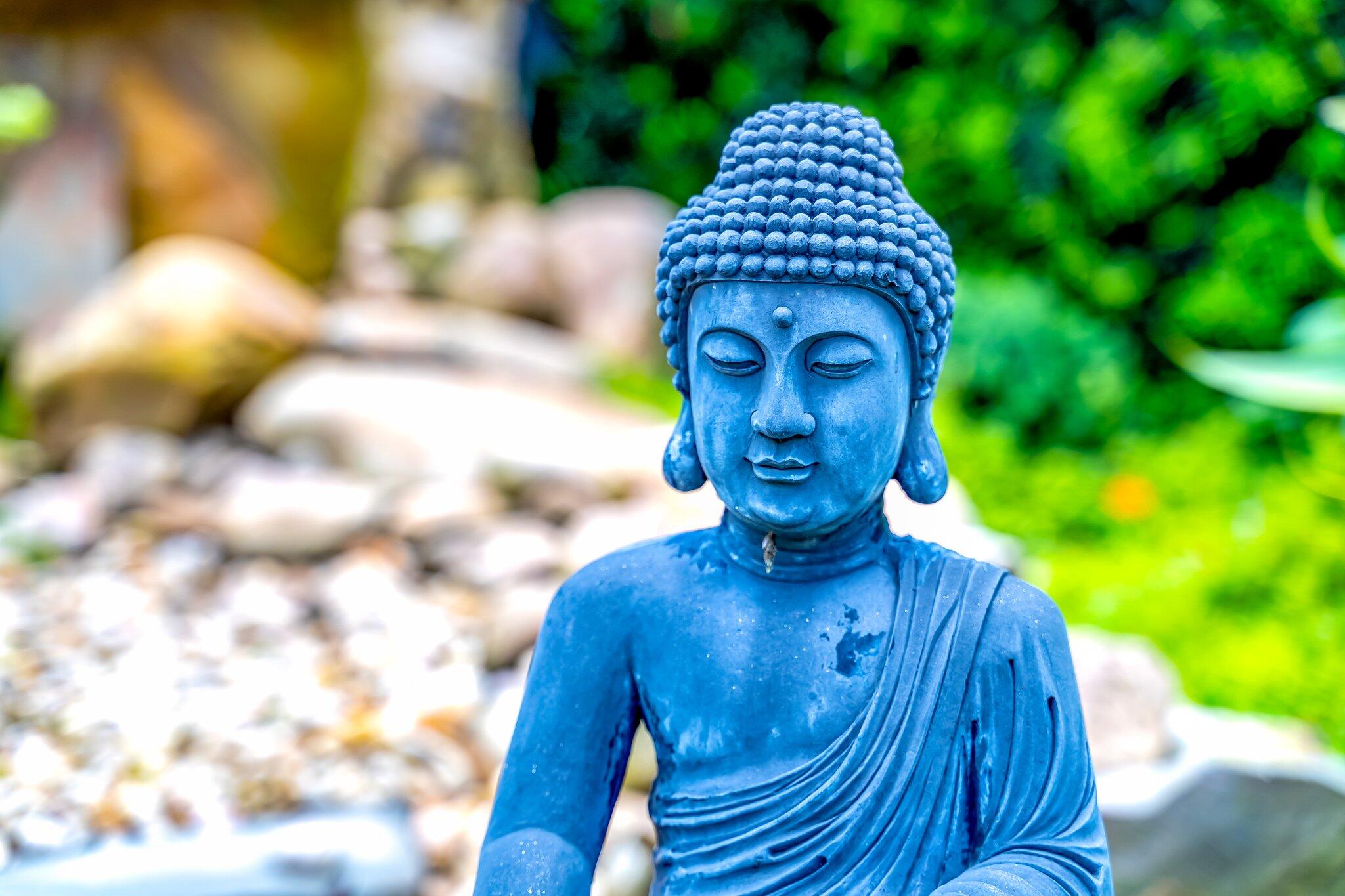 3484 Pine Haven Circle Boca Raton, FL 33431 - Photo 69 of 80 1-web-or-mls-JOY09945