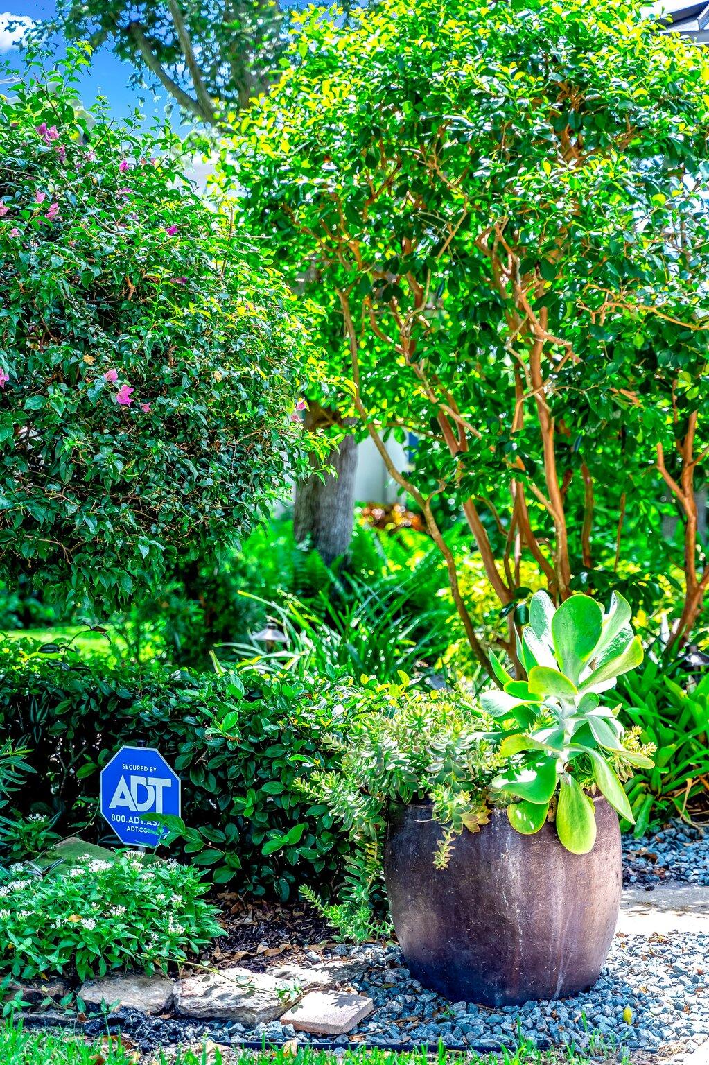 3484 Pine Haven Circle Boca Raton, FL 33431 - Photo 72 of 80 a view of a garden with a tree