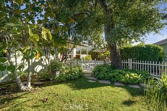 a view of a yard with plants and trees