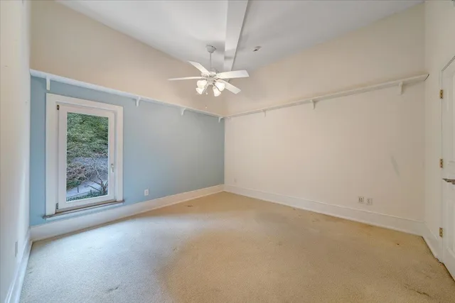 a view of a yard with plants and trees