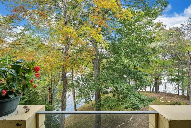 a view of a lake with a mountain in the background