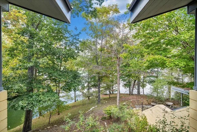 a view of a lake with a mountain