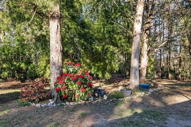 $1,145,000 | 2821 Southeast 80th Street, Ocala, FL 34480