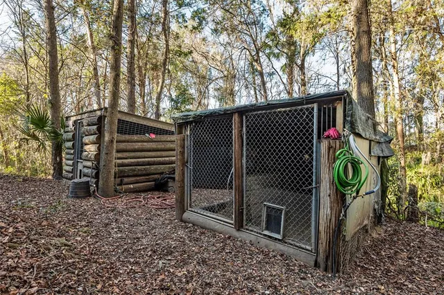 a view of a yard with plants and trees
