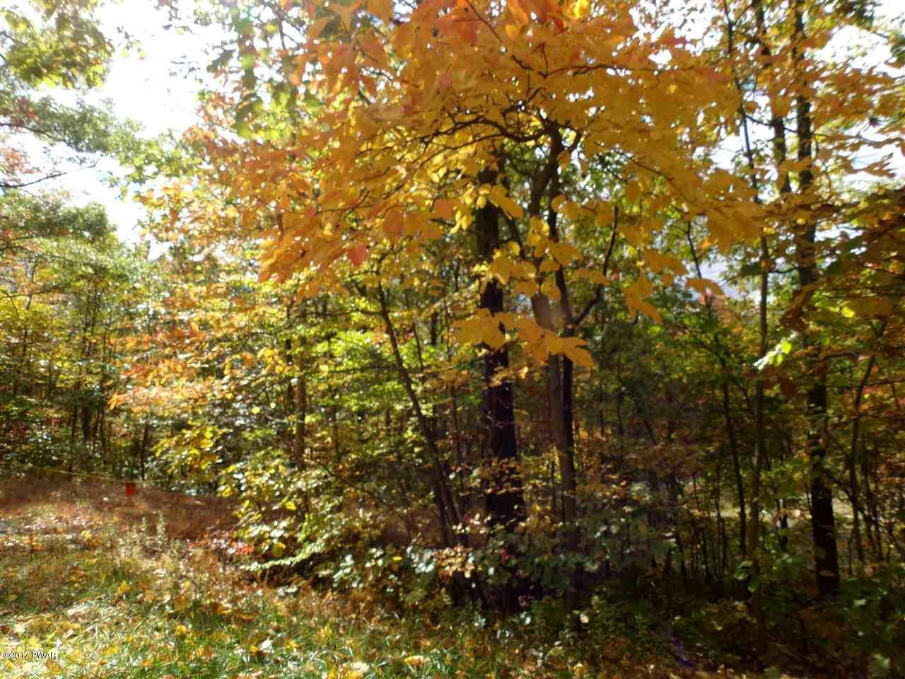 Lot 6.82 Lenni Lenape Road Narrowsburg, NY 12764 - Photo 3 of 17