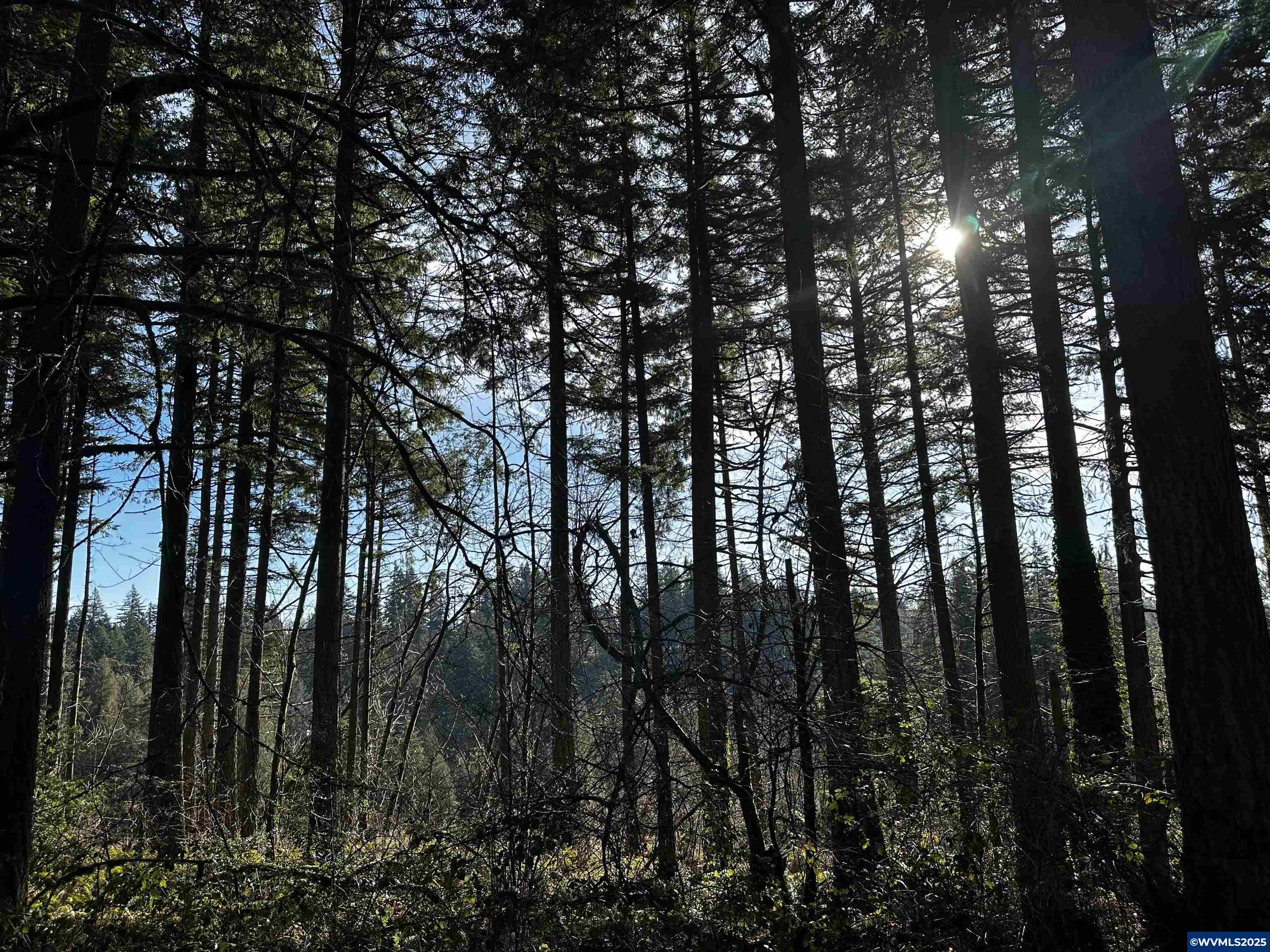 South Meyers (next To) Road Oregon City, OR 97045 - Photo 7 of 17