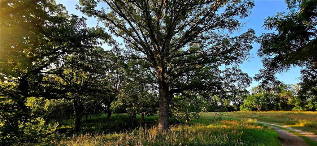 25987 West 215th Street Spring Hill, KS 66083 - Photo 15 of 26