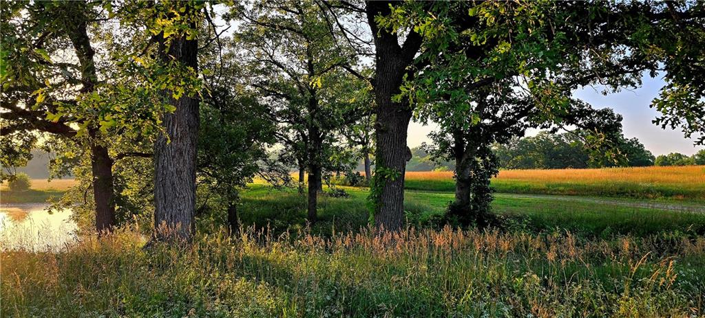 25987 West 215th Street Spring Hill, KS 66083 - Photo 18 of 26