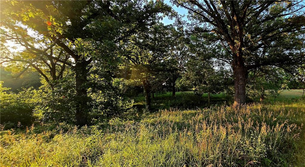 25987 West 215th Street Spring Hill, KS 66083 - Photo 20 of 26