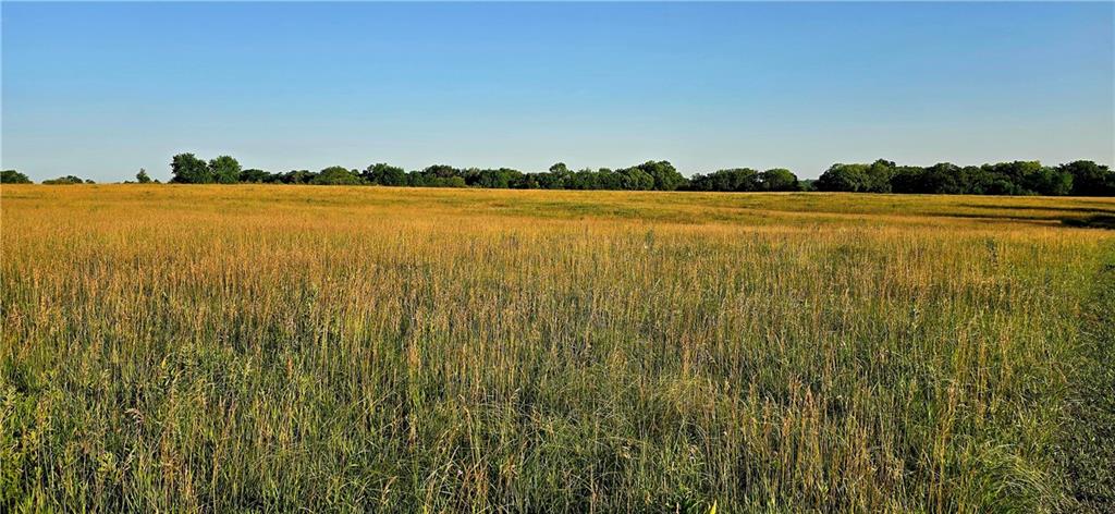 25987 West 215th Street Spring Hill, KS 66083 - Photo 2 of 26