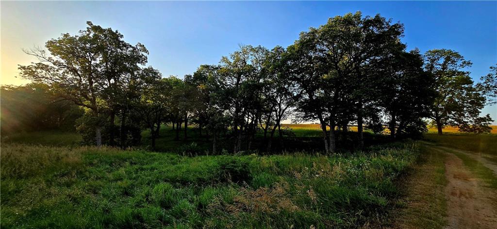 25987 West 215th Street Spring Hill, KS 66083 - Photo 21 of 26