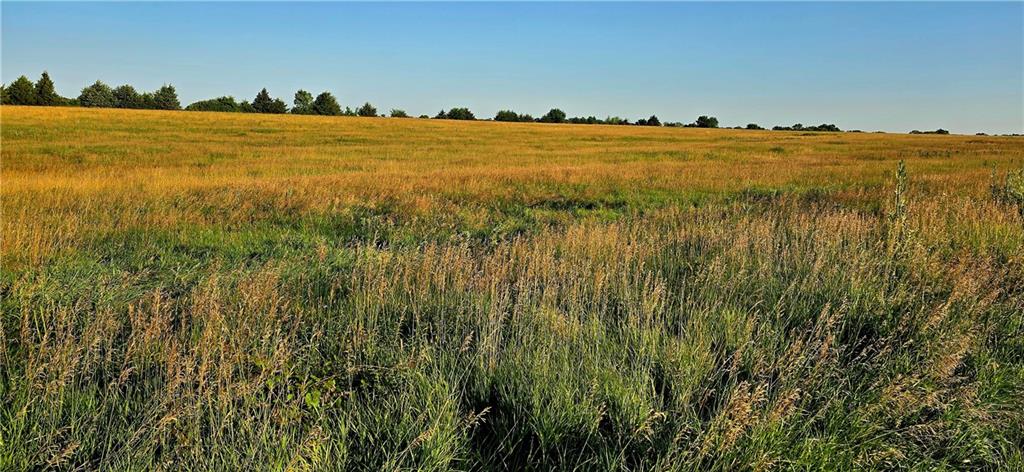 25987 West 215th Street Spring Hill, KS 66083 - Photo 22 of 26