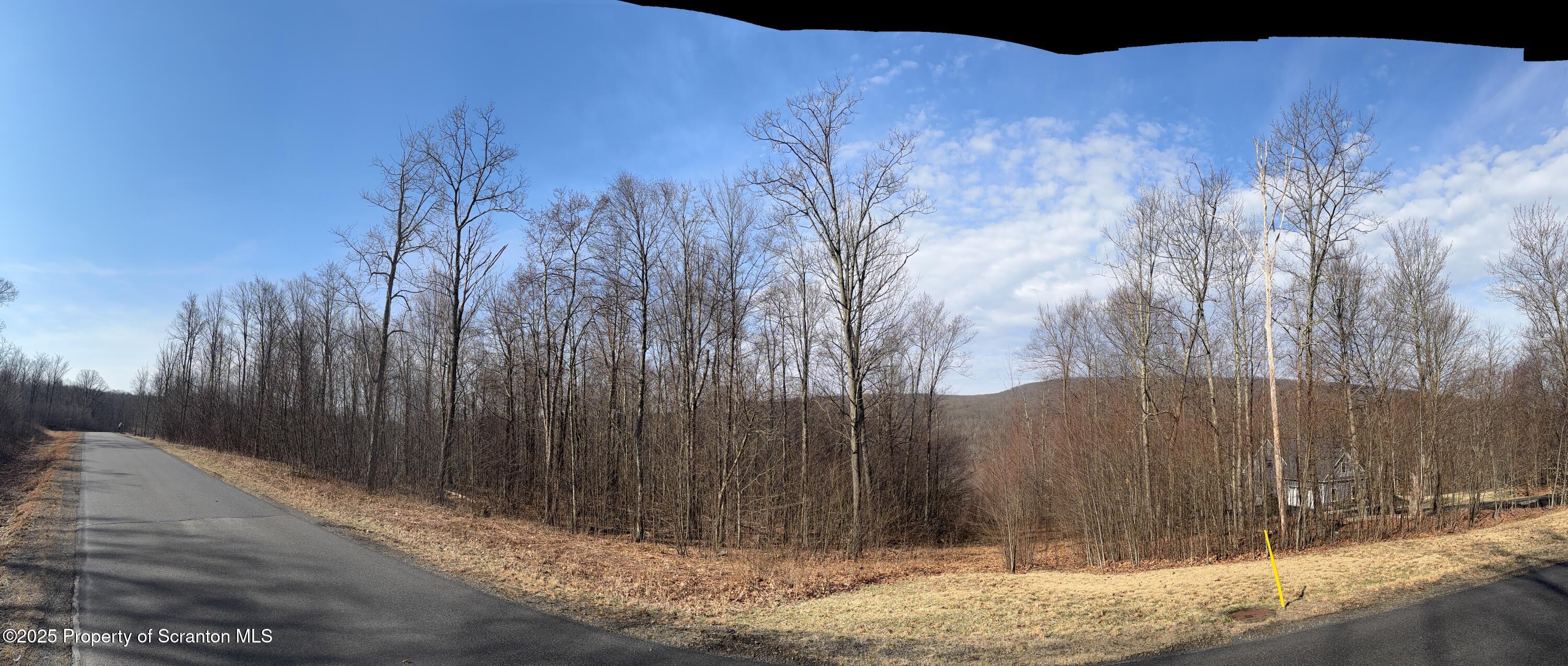 61 Summit Woods Road Moscow, PA 18444 - Photo 8 of 11 a view of a backyard of the house