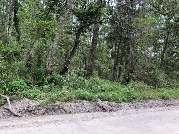 $30,000 | Lot 9 Surf Road, Sopchoppy, FL 32358