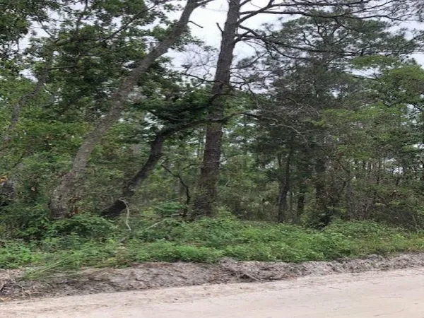$30,000 | Lot 9 Surf Road, Sopchoppy, FL 32358