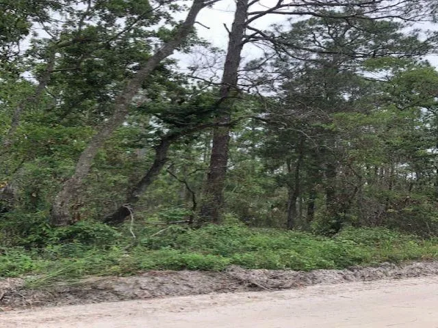 $30,000 | Lot 9 Surf Road, Sopchoppy, FL 32358