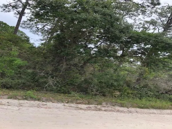$30,000 | Lot 9 Surf Road, Sopchoppy, FL 32358