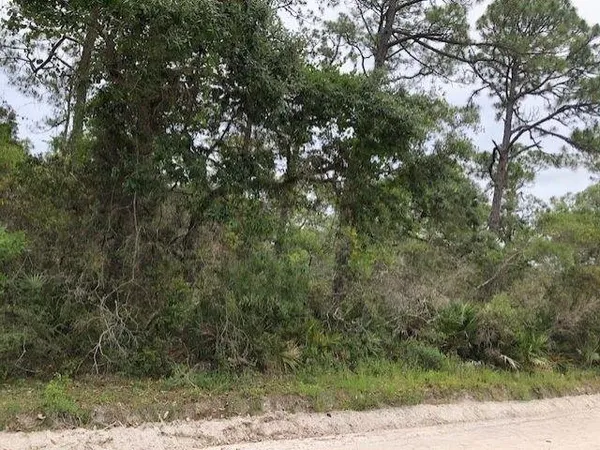 $30,000 | Lot 9 Surf Road, Sopchoppy, FL 32358