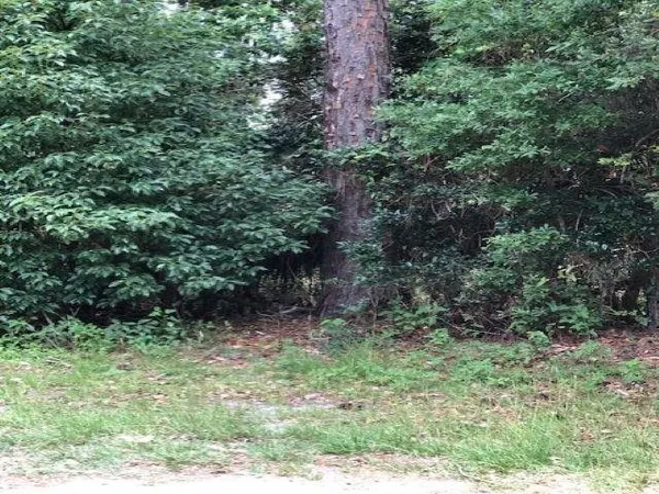 $30,000 | Lot 9 Surf Road, Sopchoppy, FL 32358