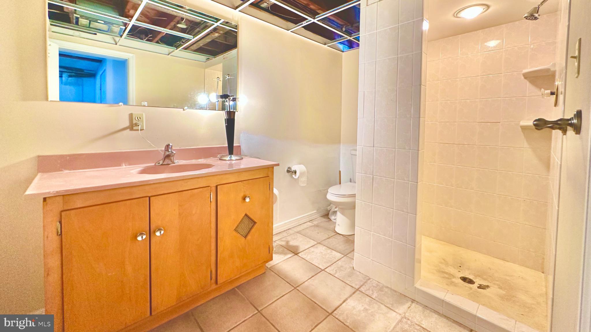 98 Maple Street Macungie, PA 18062 - Photo 42 of 56 a bathroom with a sink a toilet and shower