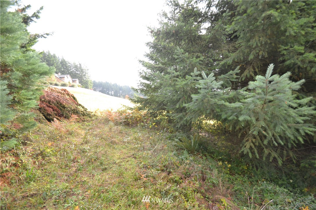 819 Varsity Road Kalama, WA 98625 - Photo 3 of 12 Gallery Image 3
