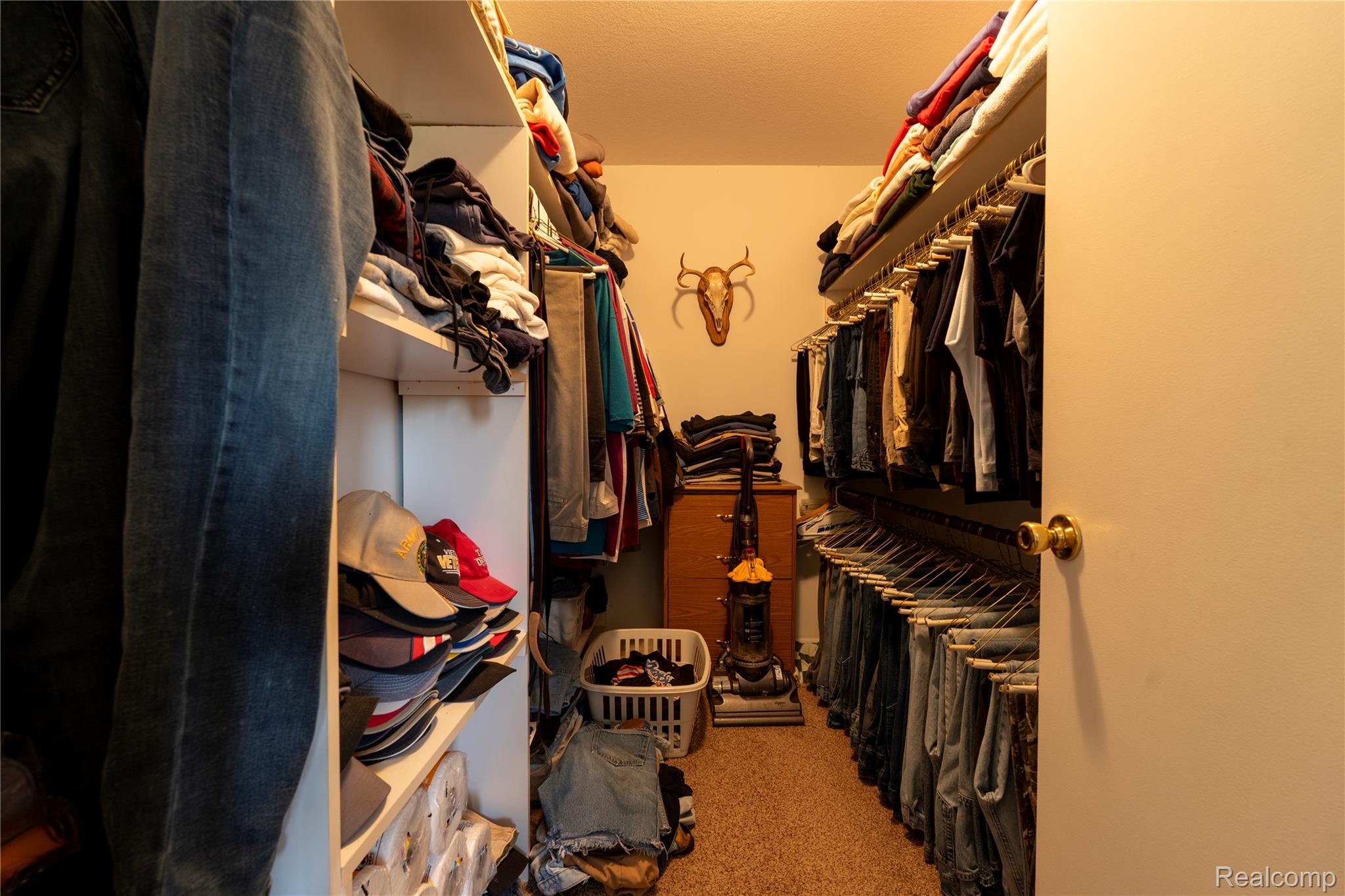 4180 Sage Lake Road Lupton, MI 48635 - Photo 15 of 40 Walk in closet featuring light carpet