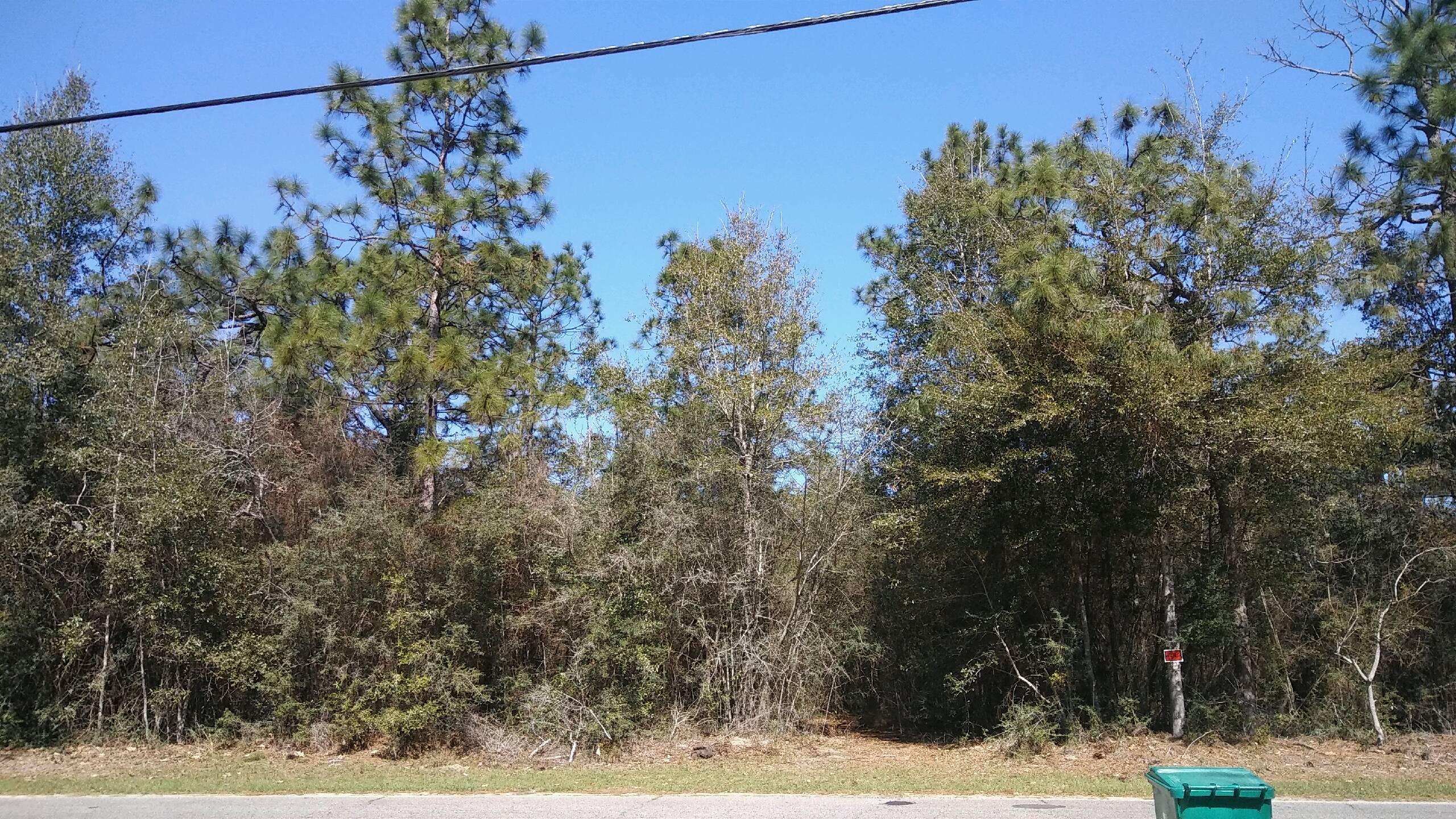 Xx Young Road Crestview, FL 32539 - Photo 2 of 5 Gallery Image 2