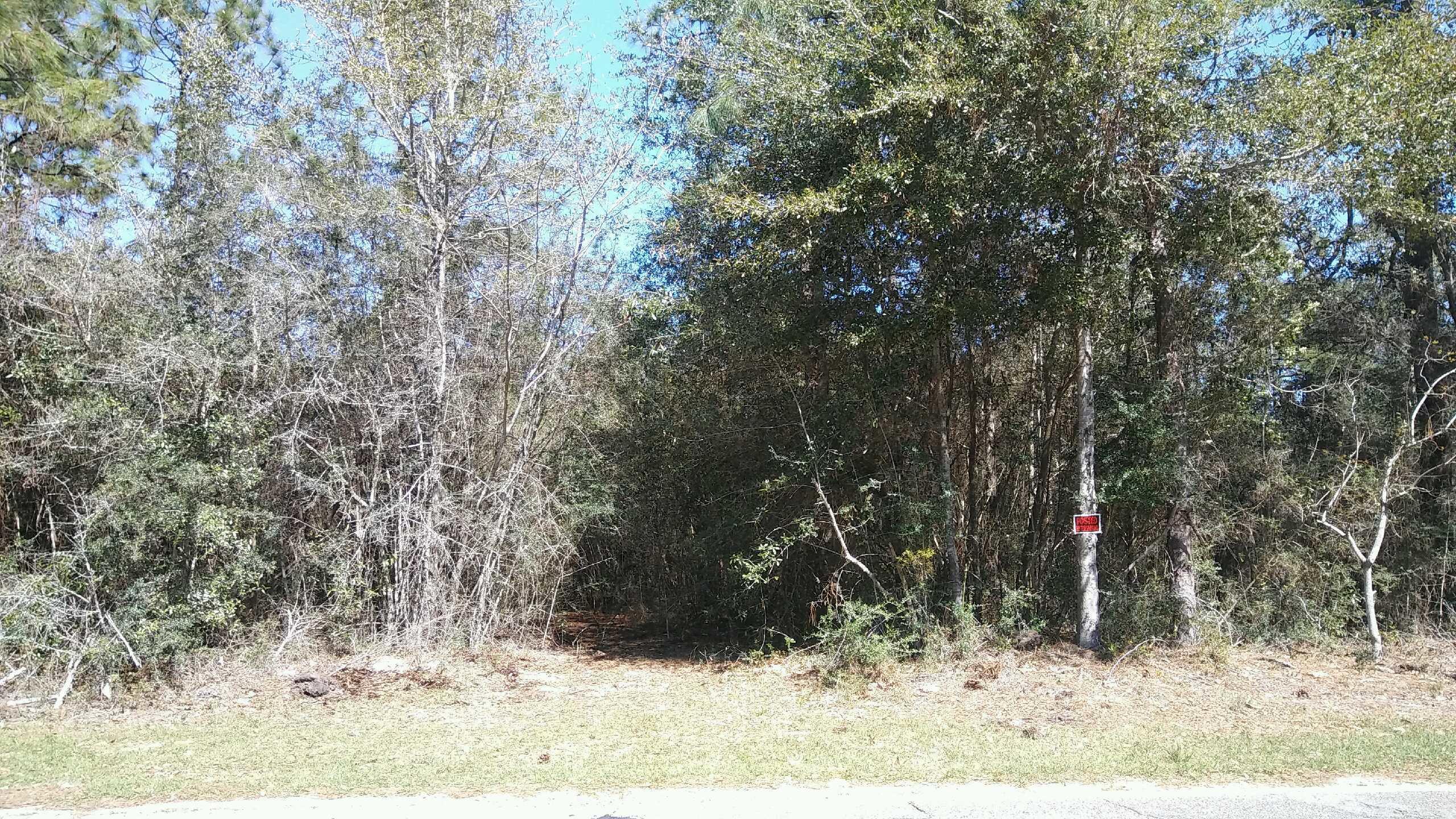 Xx Young Road Crestview, FL 32539 - Photo 3 of 5 Gallery Image 3
